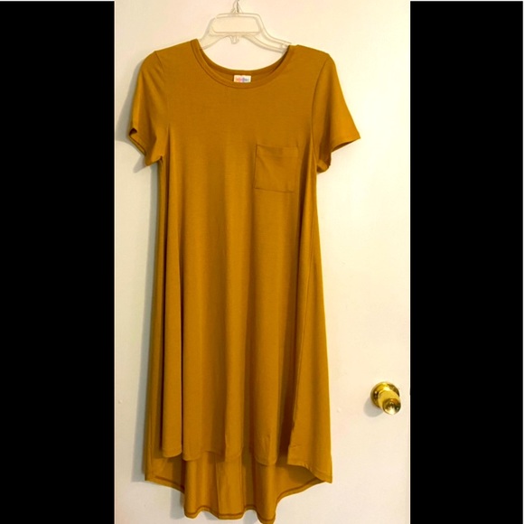 LuLaRoe Dresses & Skirts - LuLaRu CARLY Dress